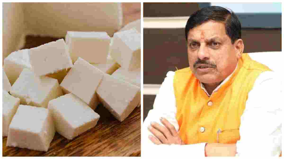 ANALOG PAnEER