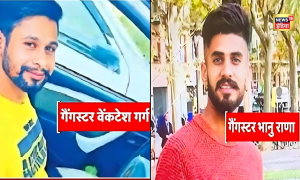 Gangster News: लॉरेंस गैंग का खूंखार अपराधी अमेरिका में गिरफ्तार,हरियाणा में होगी कड़ी पूछताछ
