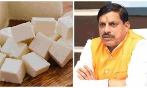 ANALOG PAnEER