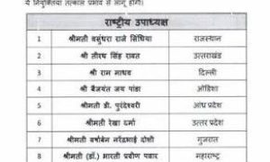 बीजेपी की नवीन टीम, एमपी के कई नेताओं को दी महत्वपूर्ण जिम्मेदारियां