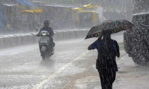 MP में स्ट्रॉन्ग सिस्टम एक्टिव: आज 50 से ज्यादा जिलों में बारिश का अलर्ट