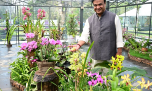 काज़ीरंगा ऑर्किड गार्डन : असम की पुष्पीय शान का उत्सव