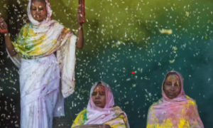 एक होली ऐसी भी, जहां बेरंग जीवन में रंग भरती है विधवाएं